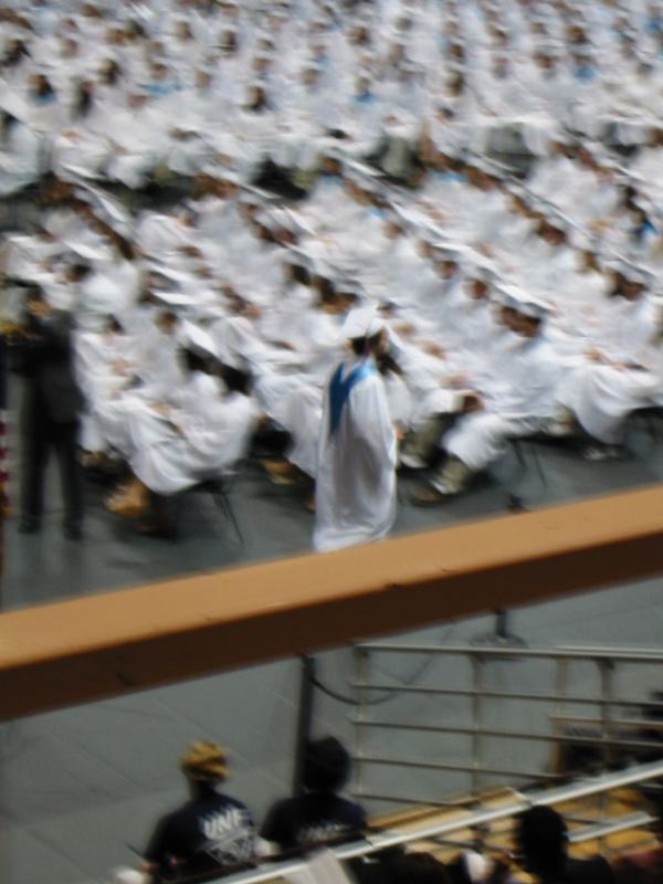 * Image 12