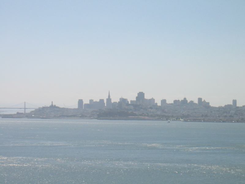 * Image 7