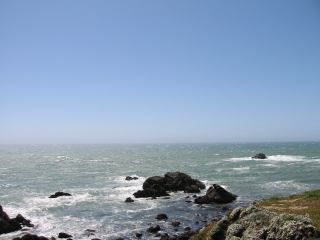 * Image 11