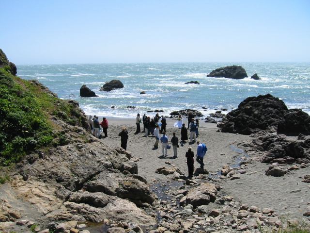 * Image 5