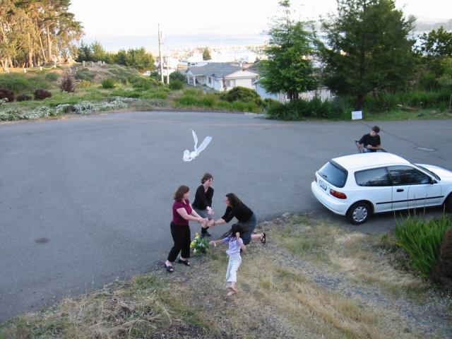 * Image 20