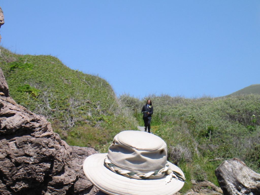 * Image 17