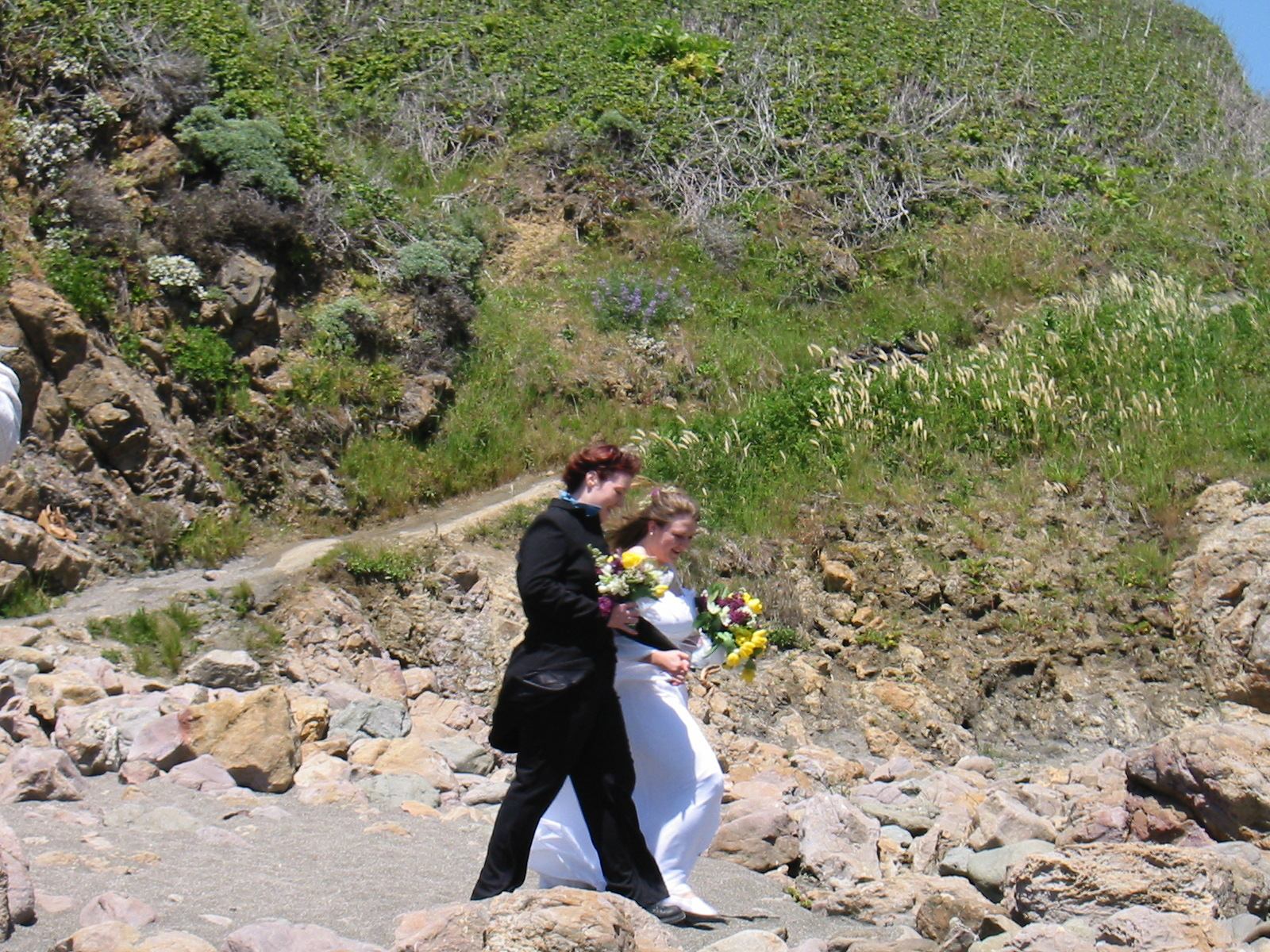* Image 31