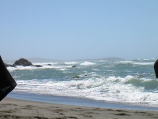 * Image 36