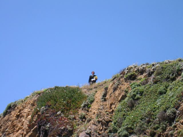 * Image 25