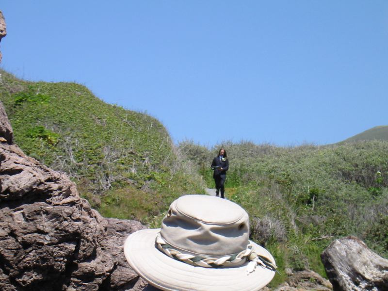 * Image 17