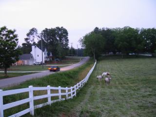 * Image 3