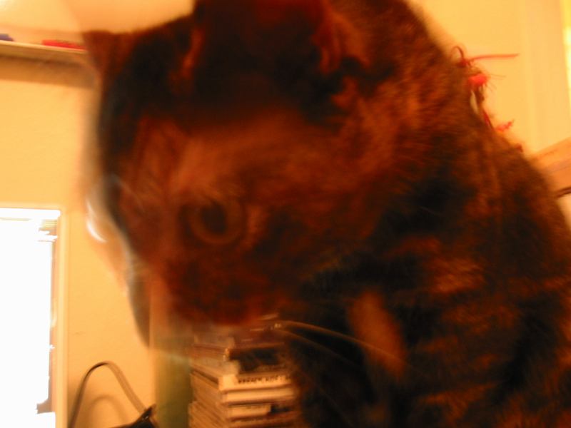 * Image 22