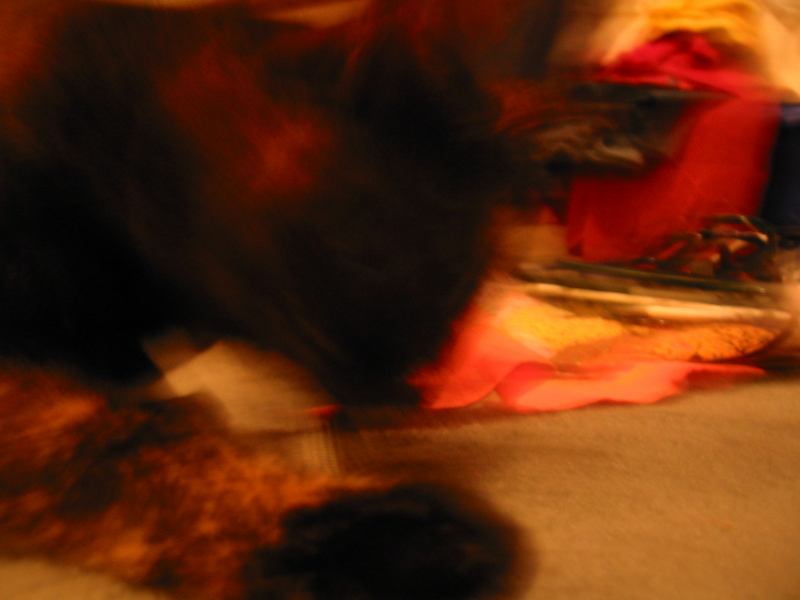 * Image 34
