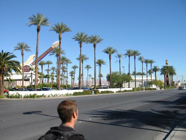 * Image 15