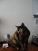 i'm watching you.jpg - 2002:12:22 13:59:57