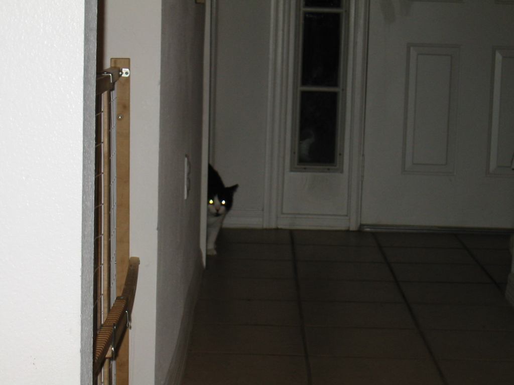 * Image 59