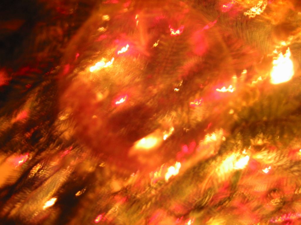 * Image 41