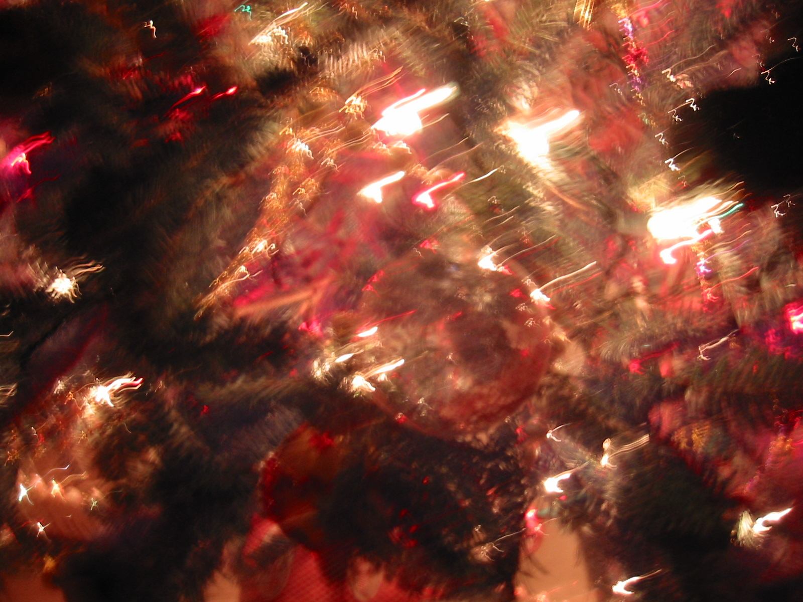 * Image 42