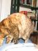 leela on back 1.jpg - 2003:01:03 23:47:15