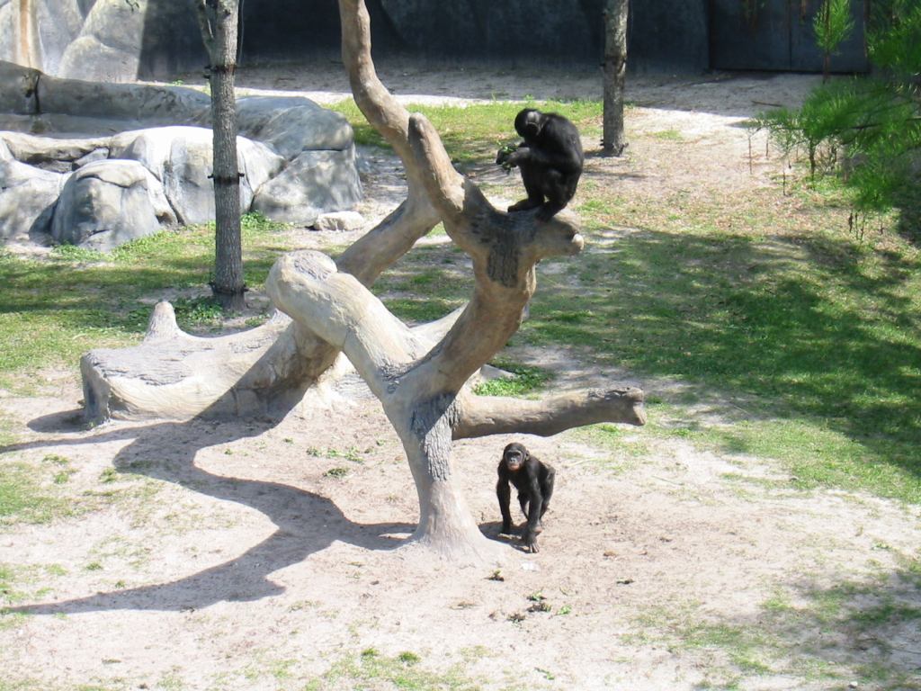 * Image 36