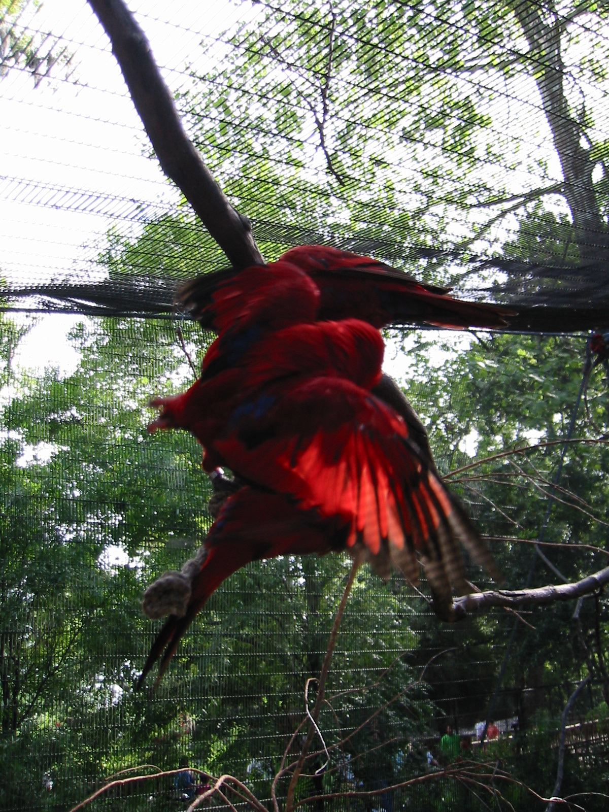 * Image 56