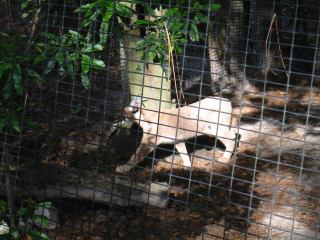 * Image 49