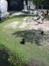 chimps in the sun.jpg - 2003:04:12 14:57:17