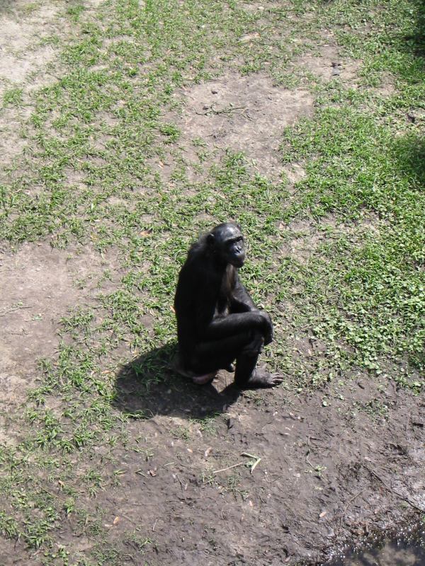 * Image 32