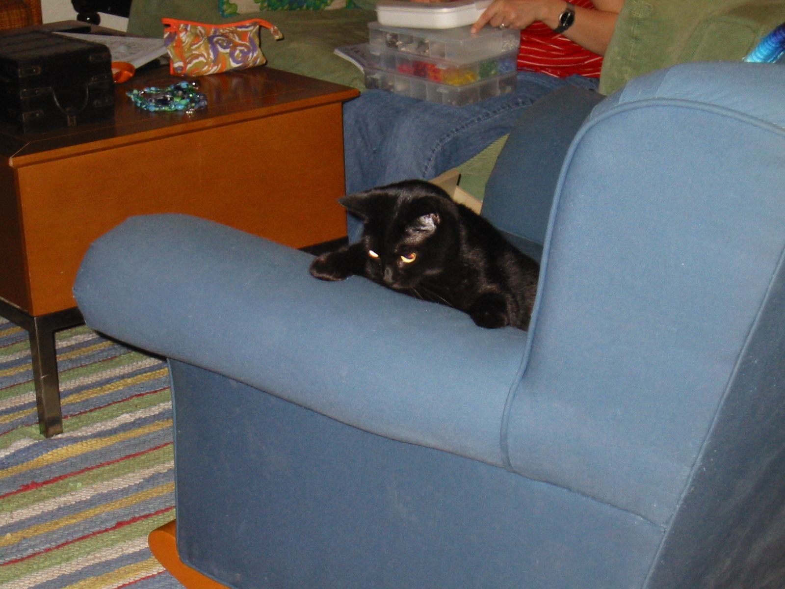 * Image 25