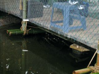 * Image 10