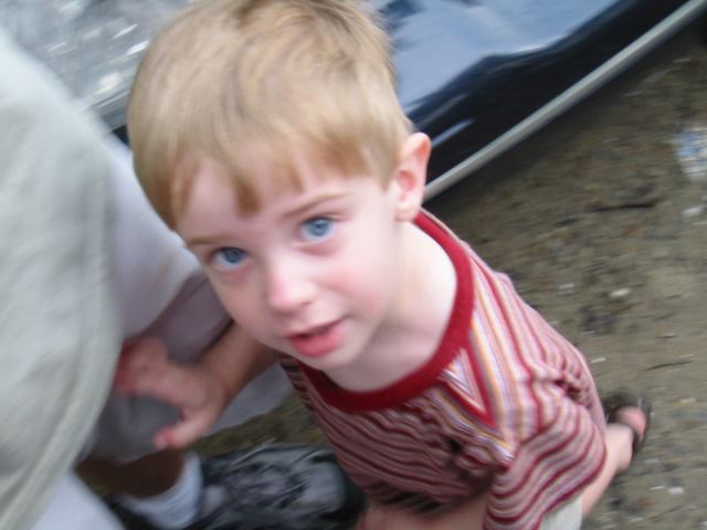 * Image 11