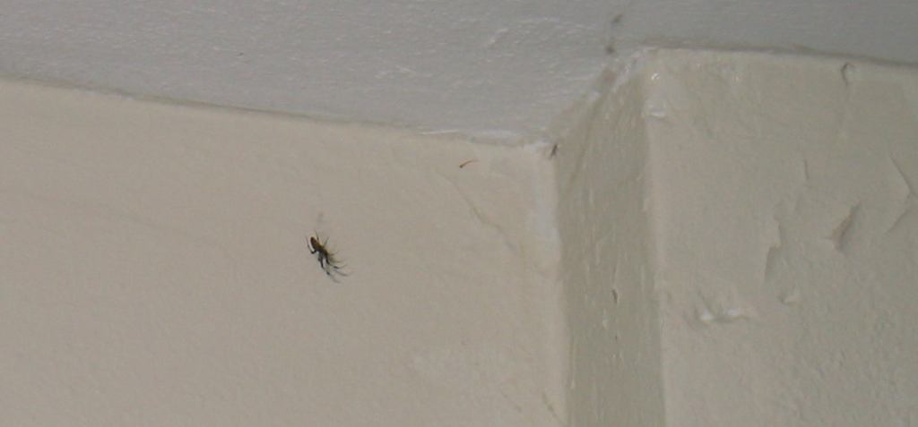 * Image 18