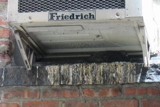 * Image 5