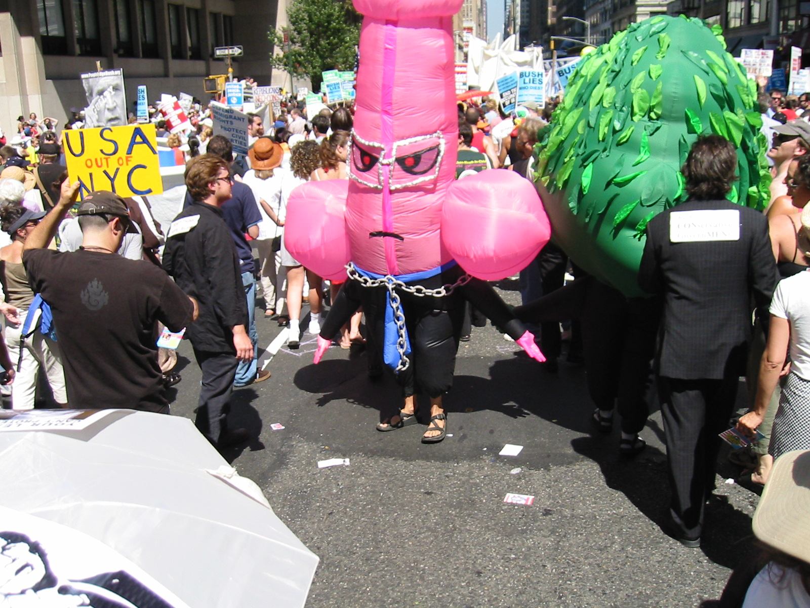 * Image 33