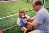 6424590-R1-037-17.jpg - 