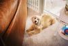 6424600-R1-060-28A.jpg - 