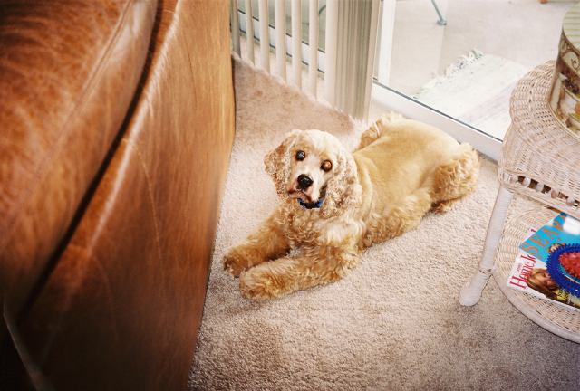 * Image 53