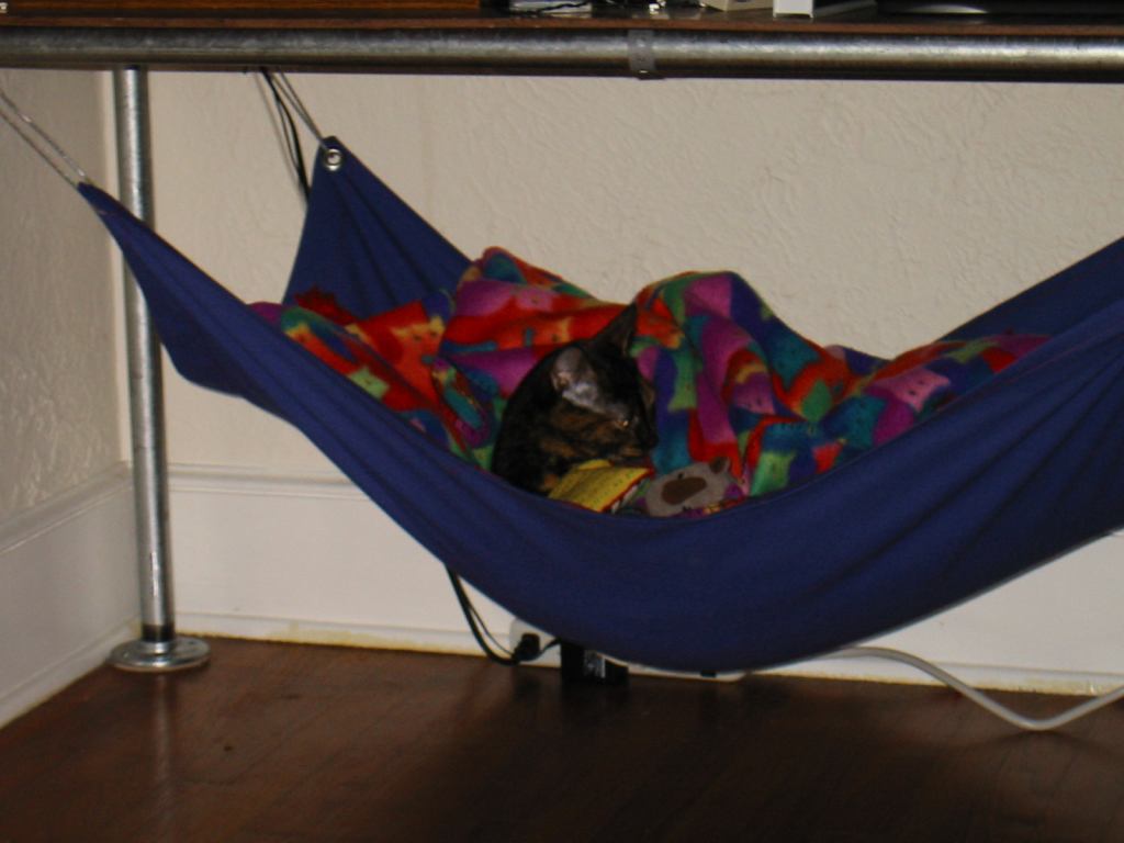 * Image 3