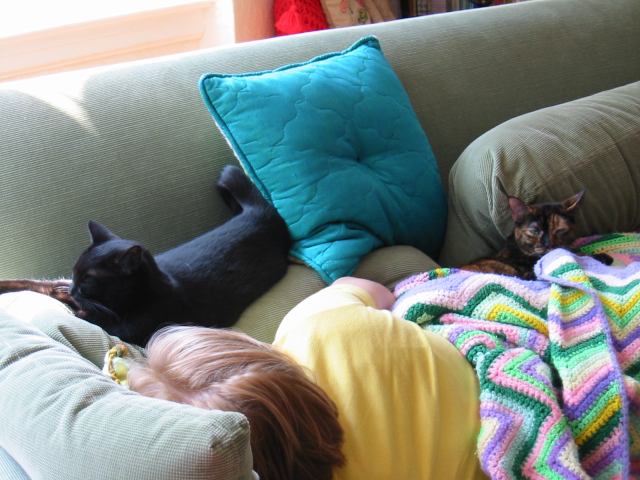 * Image 1