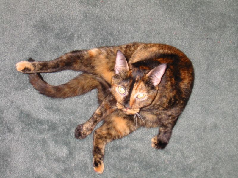 * Image 20