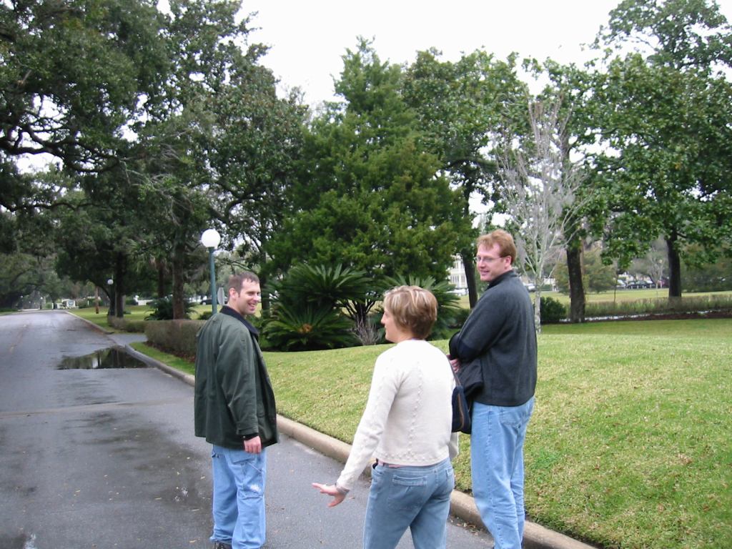 * Image 3