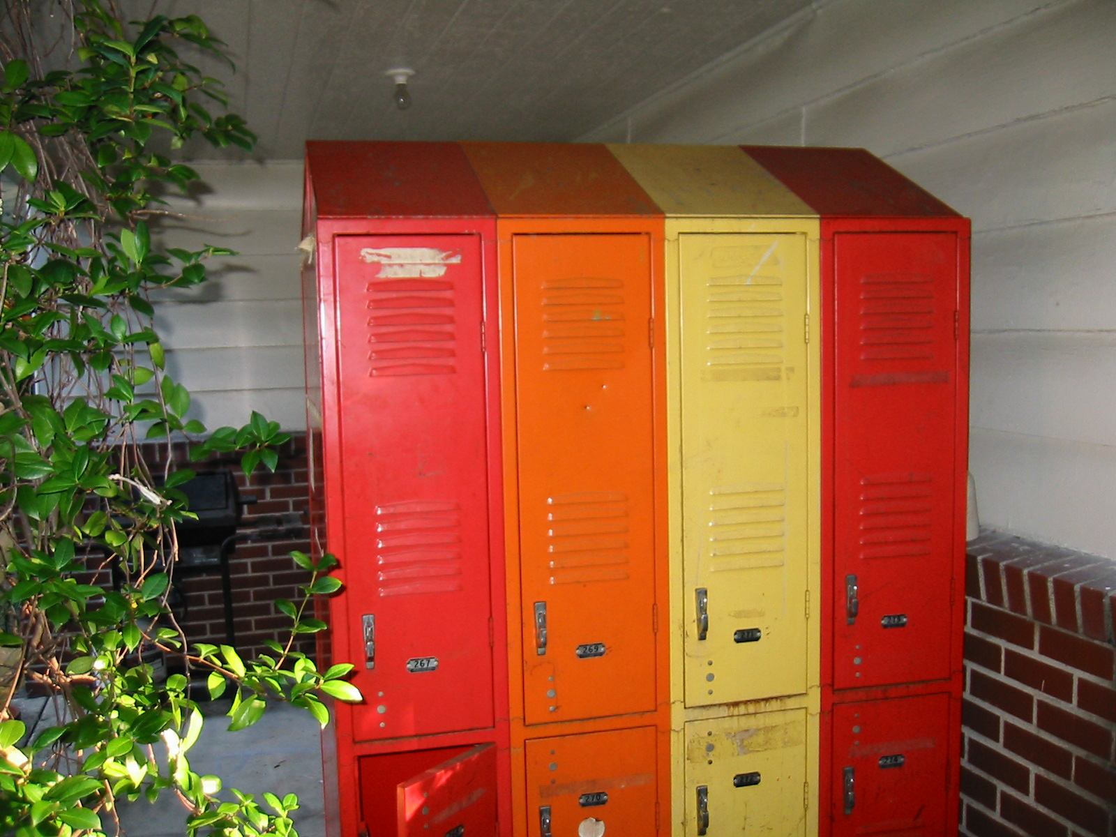 * Image 12